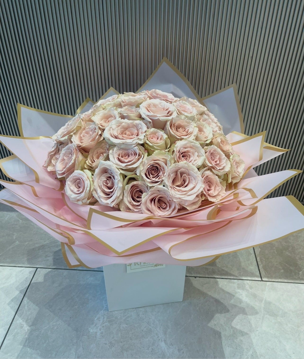 50 Blush Roses